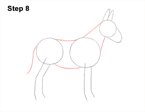 Draw a Mule Side View 8 How to Draw a Mule Horse Donkey Side View 8