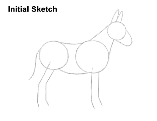 Draw a Mule Side View Guidelines How to Draw a Mule Horse Donkey Side View Guide Lines