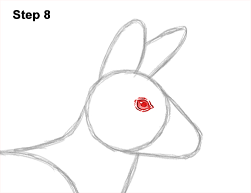 Draw a Musk Deer Tusks 8 How to Draw a Siberian Musk Deer Fangs Teeth 8