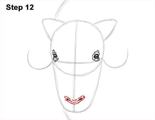 How to a Draw Musk Ox 12 How to Draw Musk Ox Standing Horns 12