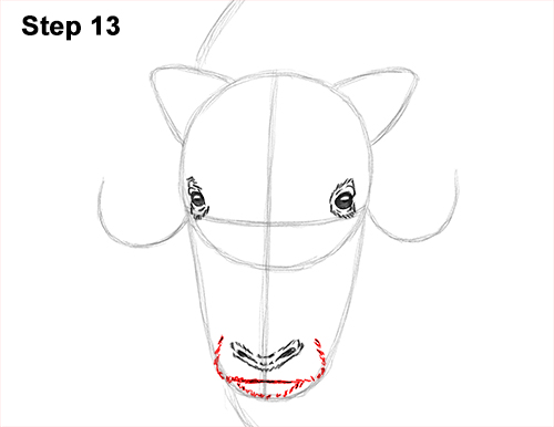 How to a Draw Musk Ox 13 How to Draw Musk Ox Standing Horns 13