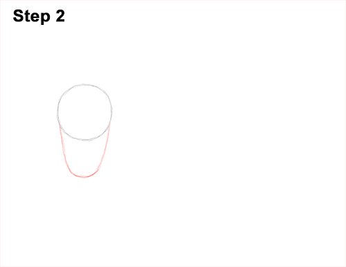 How to a Draw Musk Ox 2 How to Draw Musk Ox Standing Horns 2