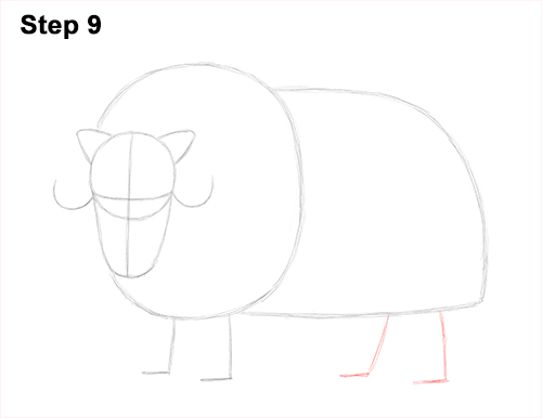 How to Draw Musk Ox Standing Horns 9