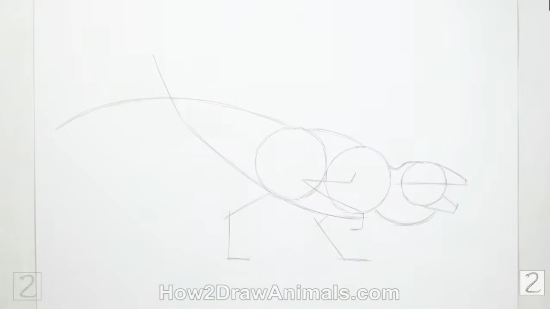 How to Draw Mutadon Limb Guidelines