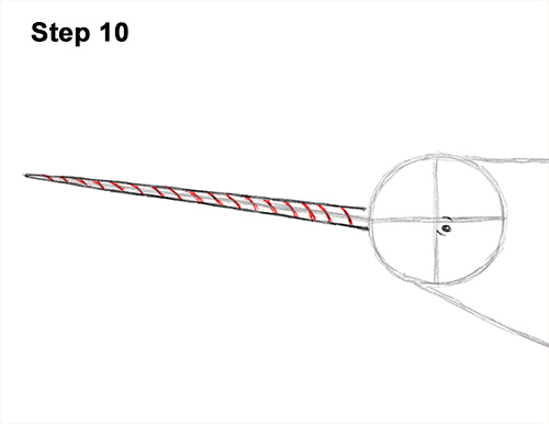 Narwhal Drawing 10 Draw Narwhal 10