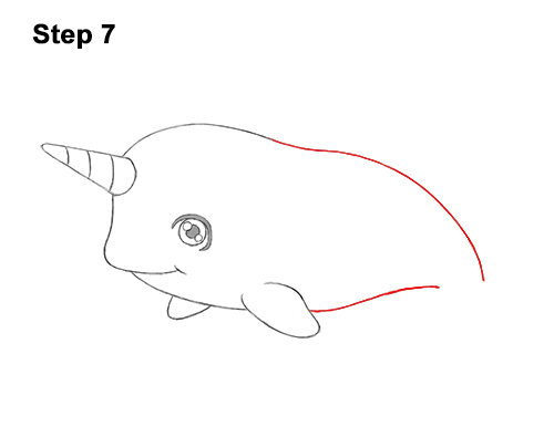 Draw a Cute Cartoon Narwhal 7 How to Draw a Cute Cartoon Narwhal Chibi Kawaii 7