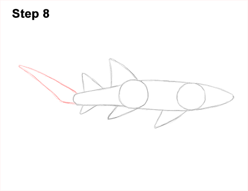 How to Draw a Nurse Shark 8