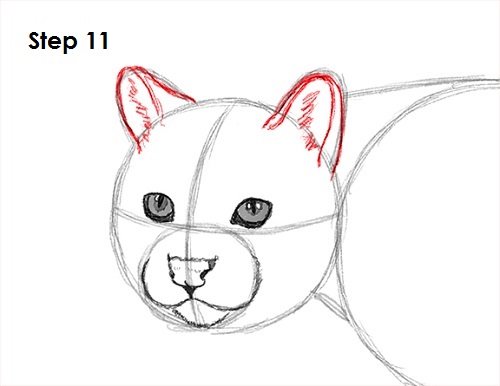 Draw Ocelot 11