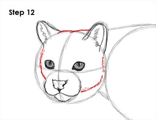 Draw Ocelot 12