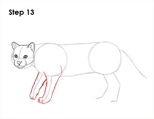 Draw Ocelot 13
