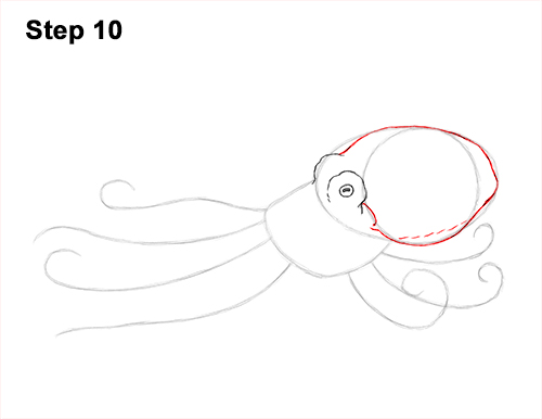 How to Draw an Octopus Swimming Tentacles 10
