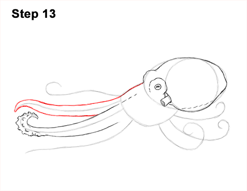 How to Draw an Octopus Swimming Tentacles 13