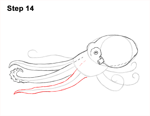 How to Draw an Octopus Swimming Tentacles 14