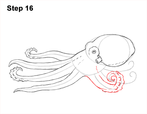 How to Draw an Octopus Swimming Tentacles 16