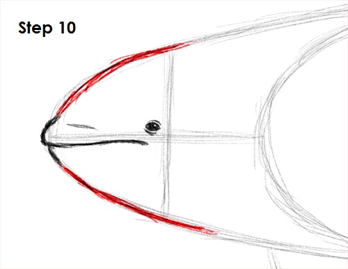 Draw Orca 10