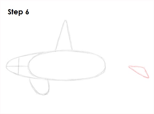 Killer Whale Drawing 6 Draw Orca 6
