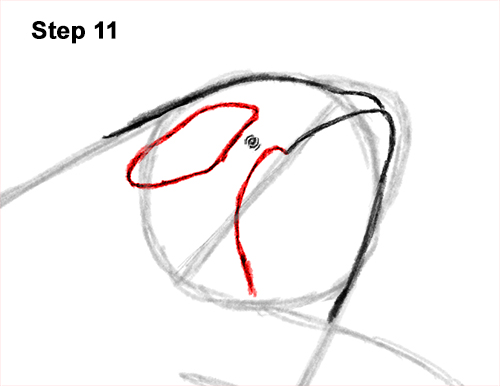 Draw a Killer Whale Breaching 11 How to Draw a Killer Whale Orca Breaching Jumping 11