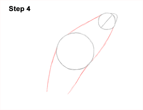 How to Draw a Killer Whale Orca Breaching Jumping 4