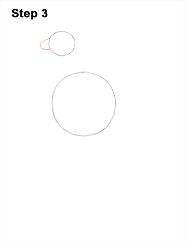 Draw Osprey Sea Hawk 3 How to Draw Osprey Seahawk Bird Side 3