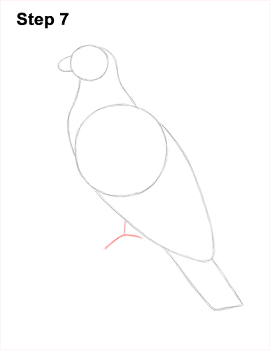 How to Draw Osprey Seahawk Bird Side 7