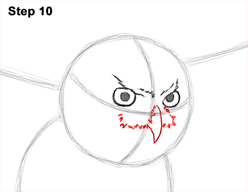 How to Draw a Great Horned Owl Flying Hunting Wings 10