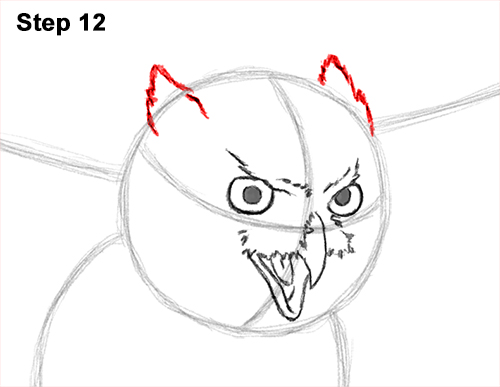 How to Draw a Great Horned Owl Flying Hunting Wings 12