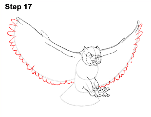 How to Draw a Great Horned Owl Flying Hunting Wings 17