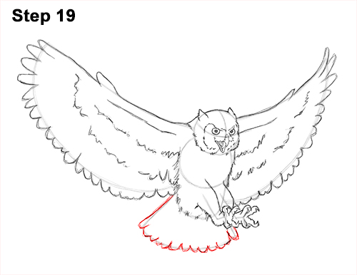 How to Draw a Great Horned Owl Flying Hunting Wings 19
