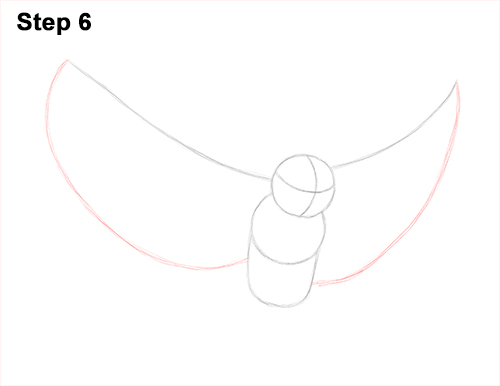How to Draw a Great Horned Owl Flying Hunting Wings 6