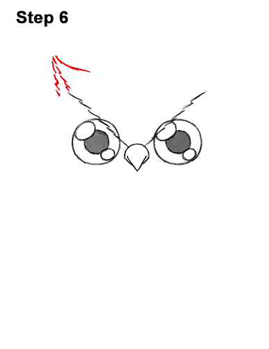 How to Draw Cute Cartoon Owl Chibi 6