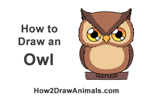 Draw a Cartoon Owl How to Draw Little Baby Small Cute Cartoon Owl Chibi Manga