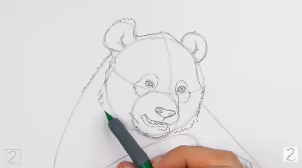 How to Draw Panda Facial Features