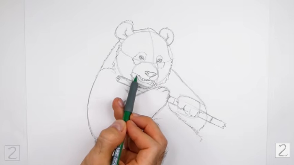 Defining the Panda Body
