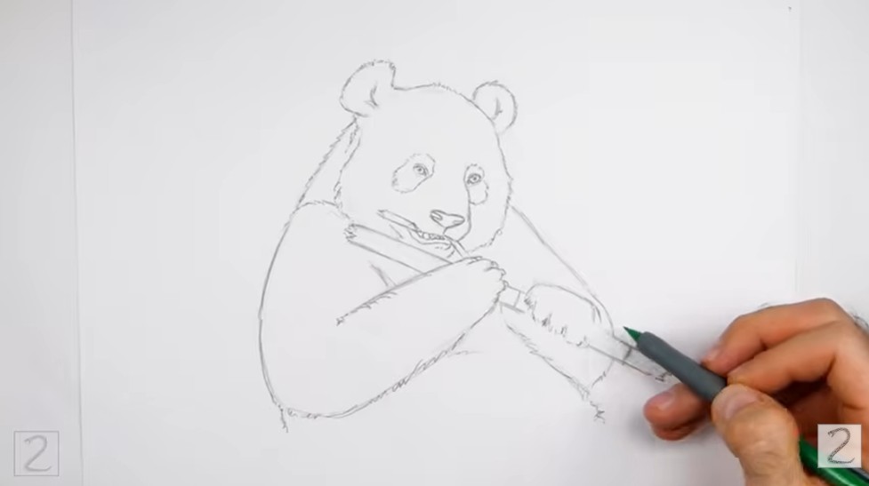Drawing the Bamboo