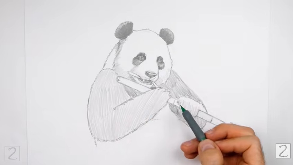 Final Shaded Panda Drawing