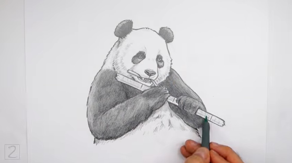 Finish Shading Panda