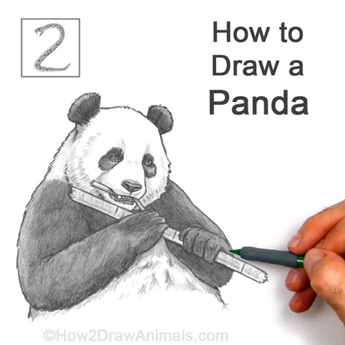 Finished Panda Art