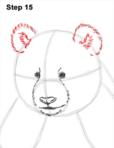 How to Draw Cute Giant Panda Bear Sitting 15