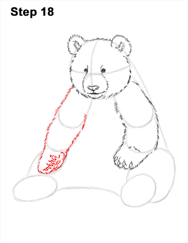 How to Draw Cute Giant Panda Bear Sitting 18