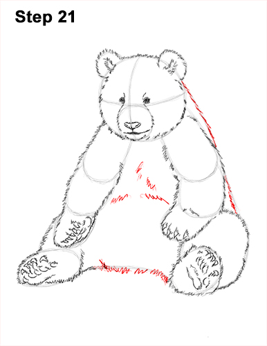How to Draw Cute Giant Panda Bear Sitting 21