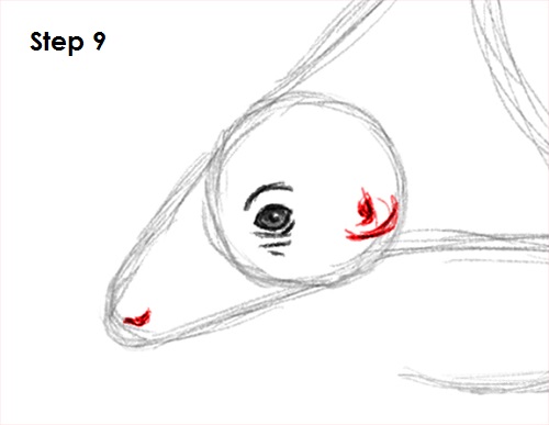 Draw Pangolin 9