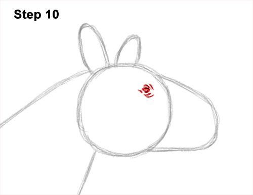 Draw a Paraceratherium 10 How to Draw a Paraceratherium Indricotherium 10