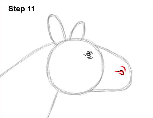 Draw a Paraceratherium 11 How to Draw a Paraceratherium Indricotherium 11