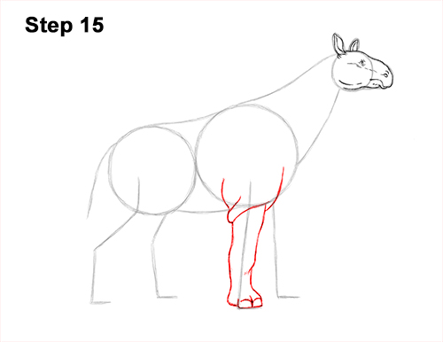 How to Draw a Paraceratherium Indricotherium 15
