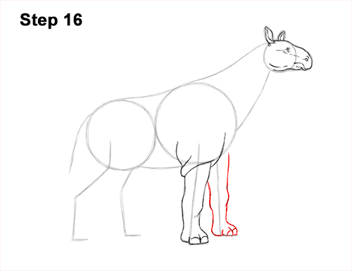 How to Draw a Paraceratherium Indricotherium 16