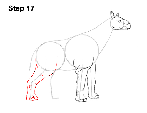 How to Draw a Paraceratherium Indricotherium 17