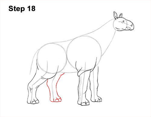 How to Draw a Paraceratherium Indricotherium 18
