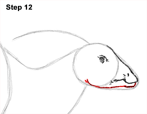 How to Draw a Parasaurolophus Dinosaur 12