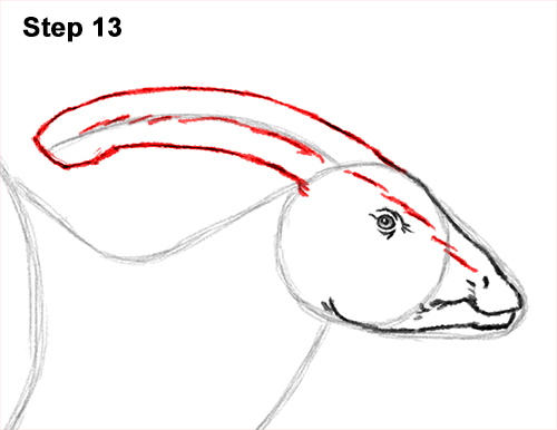 How to Draw a Parasaurolophus Dinosaur 13