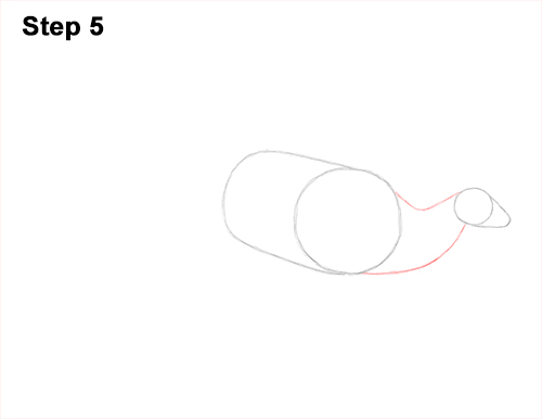 Draw Parasaurolophus Dinosaur 5 How to Draw a Parasaurolophus Dinosaur 5